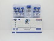 Picture of SEMAGLUTIDE 5 ZPHC